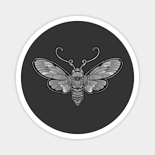 grey moth insect design Magnet